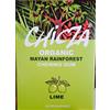 Chicza Organic Chewing-Gum Lime, Certificato Biologico e Kosher, Biodegradabile, Set 10x30g
