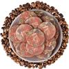 HQZMCTE Tè Pu-Erh Premium Al Caffè - Yunnan Pu-erh Con Ricco Aroma Di Caffè, Mini Torte Da Tè Compresse (500g)