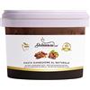Dolcincasa.com Dolcincasa-Pasta Gelato Gianduia Naturale Italiana Vegan per Dolci Crema Pasticcera e Torte 500g