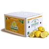 SANGASPANO Limoni 100% Siciliani e 100% Biologici - Massima Freschezza e Sostenibilità, Limoni Raccolti Direttamente dai Nostri Alberi - 4 kg - CERTIFICATI BIOLOGICI QUESTO FA LA DIFFERENZA
