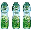 Teisseire Pack 3 Sciroppo Menta verde Teisseire - 3 x 60 cl