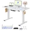 FLEXISPOT Scrivania Regolabile in Altezza a 2 Motori 120x60 cm con Piano Unico, Pannello con Memoria, Portata 100 kg
