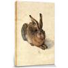 1art1 Albrecht Dürer Poster Stampa Artistica su Tela Giovane Lepre, 1502 Quadro da Parete sulla Barella | Murale XXL | Immagine 30x20 cm
