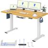 FLEXISPOT Scrivania Regolabile in Altezza 160x80 cm, Standing Desk Elettrica con Pannello Intero, Spessore 25mm, Telaio in Acciaio Massiccio a 2 Stadi, Motore Potente, Gancio Laterale