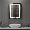 Luxstein Armadietto a specchio da bagno con illuminazione a LED, 3 colori chiari 6000 K, anti appannamento, montaggio a parete, con presa e ripiano, salvaspazio, moderno mobile da bagno, 50 x 66 cm