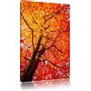 Pixxprint Foglie Autunnali focosa Stampa su Tela 60x40 cm Artistica murale