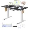 FLEXISPOT Scrivania Regolabile in Altezza a 2 Motori 120x80 cm con Piano Unico, Pannello con Memoria, Portata 100 kg