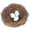 SagaSave Nido di uccelli artificiale con uovo decorativo ghirlanda di vite ramoscello rattan case per uccelli per decorazioni creative fatte a mano pasquali per casa giardino