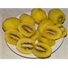 SVI 50 Seme Giallo Oro Kiwi VerySweet Flesh chinensis pelle liscia
