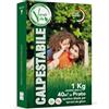 Verdevita Semi Prato Resistente - Semi Resistenti al Caldo - Prato Verde Brillante a Bassa Manutenzione - 1kg per 40m2