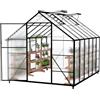 Froadp Serra in alluminio con fondamenta da 310 x 250 x 205 cm, pannelli alveolari in policarbonato da 4 mm, resistente alle intemperie, serra per giardino e allevamento