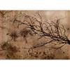 murando - Carta da Parati Moderna per Cameretta, Albero, 300x210 cm | Fotomurali in TNT, Decorazione da Muro XXL, Carte da Parati Moderne, Astratto, Marrone, Produzione Europea