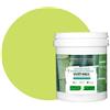BOX DECO COULEURS Pittura naturale ecologica per interni esterni, aspetto opaco Natura - 1L / 13 m² [Classe energetica A+], verde anice