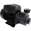 eacommerce - Elettropompa Periferica Silenziosa | 0,37 Kw | Portata 35 Lt/min | Girante in Ottone | Uso Domestico e Irrigazione | Corpo in Ghisa | Motore in Alluminio