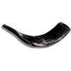 Spring Nahal Corno di chofar Ram Kosher originale di Israele completamente lucidato, strumento musicale ebraico facile da soffiare, realizzato in Israele da Spring Nahal (35,6 cm - 40,6 cm)