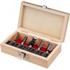 EXTOL CRAFT Set di 5 frese per legno, con fogli in metallo duro