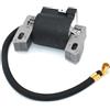 XRXEA Modulo bobina di accensione B//r/i//g//g//s & S//t/r//a/t//t//o//n 12D800 12F800 12H800 12J902 AA0101 1133-0