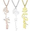 MeMeDIY Personalizzato Mese di Nascita Fiore Inciso Nome Collana in Argento 925/Acciaio Inox con Pietra di Nascita Damigella Proposta Regali di Compleanno per Donne Fidanzata Moglie (Stile A1)