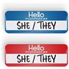 Generic HELLO MY PRONOUNS ARE SHE/THEY distintivo pronome perno o calamita da frigo, 25x70mm, LGBTQ+, LGBT