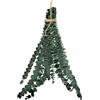 Generico 10 Pezzi Eucalipto Vero Per La Doccia, Eucalipto Secco Vero Fiori Secchi Naturali, Eucaliptos Essiccato Da Appendere, Per Doccia Wedding Flower Arrangement Home Decor
