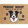 Social crazy Tappeto zerbino personalizzato - con nome cane divertente Border Collie Perchè bussi - cocco naturale ideale per ingressi (Cocco Naturale, 60x40 cm)