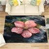 Generico Soft Touch Tappeto Salotto Pelo Corto 60x90 cm, Moderno Tappeto Tema Dei Fiori Rosa Antiscivolo Lavabile per Camera da Letto, Ingresso - Multicolore Antivegetativa Tappeti