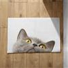 EHOMERY Zerbino Interno Balcone Zerbini Esterno Casa Gatto Zerbino Ingresso Interno Home Zerbini Personalizzati Simpatici 50x80cm, Zerbino Decorativo In Cotone Felpato Antiscivolo