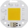 MAMA'S PEARL 3 pezzi senza saldatura AC 220V 50W LED COB Chip Diodo Driverless DOB Modulo 5454 Lampada Perline for Pianta Grow Light Floodlight Spotlight(Warm White,220V 50W)