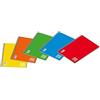 Blasetti QUADERNO A5 SPIRALATO 4mm c/fori 80gr 60fg ONE COLOR BLASETTI