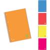 Blasetti One Color FLUO - Quaderno con spirale laterale formato A4 con fori archiviazione, Confezione da 5 pezzi, Carta 80gr, Copertina in cartoncino monocromatica - Rigatura 5M (quadretti 5mm)