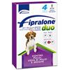 Formevet Fipralone Duo Fipralone Duo 134 Mg/40 Mg Soluzione Spot-on per Cani di Taglia Media