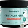 DogSuppy Dental Bright per Cani - Alito Fresco, Denti Bianchi, Riduce Placca e Tartaro, 100% Naturale, Formula 3-in-1, Senza Spazzolatura, Adatto a Tutte Le Razze