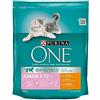 Purina One Junior Pollo/Riso - 800 gr