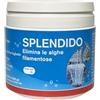 Giardini d'Acqua Polvere Antialghe Splendido, dose per 10.000 litri, sicuro per pesci, piante, animali (Medio (per 10.000 lt))