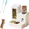 Générique Dispenser acqua 3 in 1 per maiale india, bottiglia, acqua con supporto, 80/125 ml, erogatore, acqua per piccoli animali, bottiglia, acqua anti-perdite con ciotola, alimenta