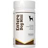 Vet-Service Entero-Dog Mini | 30 grammi | Mangime Complementare in polvere | Supporto Funzione Intestinale del Cane | Azione Adsorbente, Riequilibrio Microbiota e Normalizzazione Feci, con Enterococcus faecium