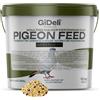 GiDeli Mangime per piccioni e colombi 10 kg - miscela di semi - muta | Chicchi interi selezionati, sostegno alla formazione delle piume, adatti ad allevamento e voli sportivi, senza conservanti