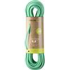 Edelrid Eagle Lite Eco Dry 9.5 mm corda arrampicata