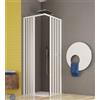 GEAPLAST Box Doccia 70 x 100 Disabili Soffietto Apertura Centrale