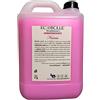 ECOBOLLE Ammorbidente Per Lavatrice Narcissus - Concentrato e Super Profumato (5KG)