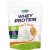 WHY NATURE WHEY PROTEIN - Proteine Whey - Proteine in Polvere per la Massa Muscolare - Proteine Concentrate del Siero del Latte Senza Glutine - Gusto Vaniglia - 400 gr