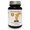 Farmabarocco Curcuminasol 185 30 Capsule Integratore di Curcuma