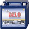 Delo Batteria Al Gel, Riempita YTX14-BS 12V/14AH SAE205A