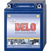 Delo Batteria Al Gel, Riempita YB14L-A2 12V/14AH SAE230A