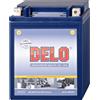 Delo Batteria Al Gel, Riempita YB14-A2 12V/14AH SAE 230A