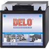 Delo Batteria Agm 51814 51913 12V/19AH 210A
