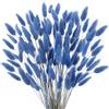 SLFYEE 120PCS Erba della Pampas Fiori Secchi Coda di Coniglio Blu Pampas Fiori Secchi Naturali Erba Coda di Coniglio Essiccati per Decorazioni Casa Tavola Matrimonio Vaso Feste