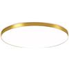 XINYASEE Plafoniera LED moderna e minimalista Tricolore, 3000K bianco caldo, 4000K neutro, 6000K bianco positivo Bagno, camera da letto, cucina, soggiorno, ufficio (37cm40W, oro)