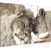 Runa Art Leoni Amore Quadri Soggiorno Grande Beige Leone e Leonessa 120 x 80 cm 3 Pezzi Decorazione Murale 002131b