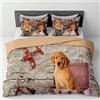INTRECCI Copripiumino in Cotone Sogni d'Oro, Parure Copri Piumino con Federe Set Sacco Piumone Disponibile in più Fantasie (Set Sacco Matrimoniale + 2 Federe, Doggy)